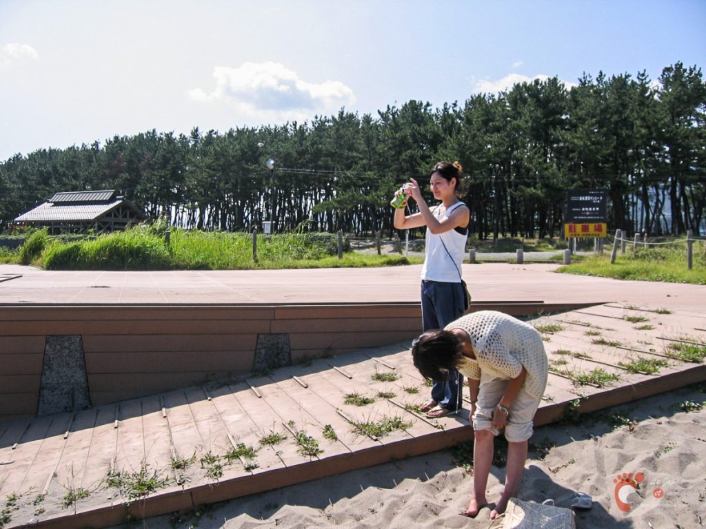 Sur les plages de la mer du Japon