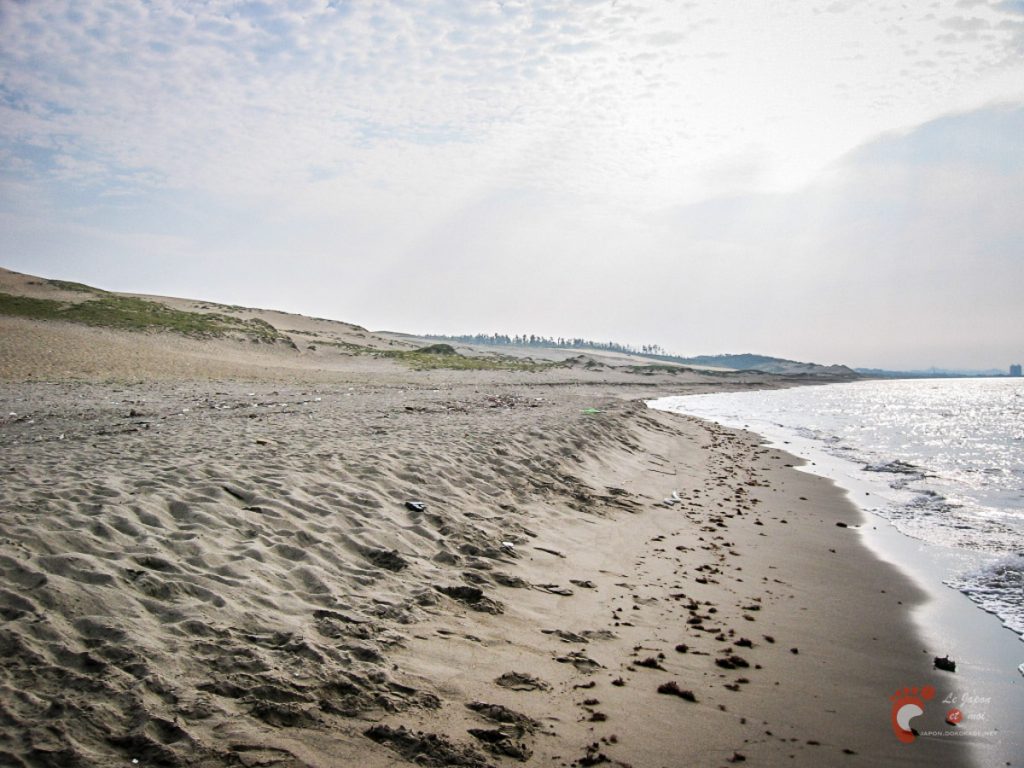 Les dunes de sable de Tottori