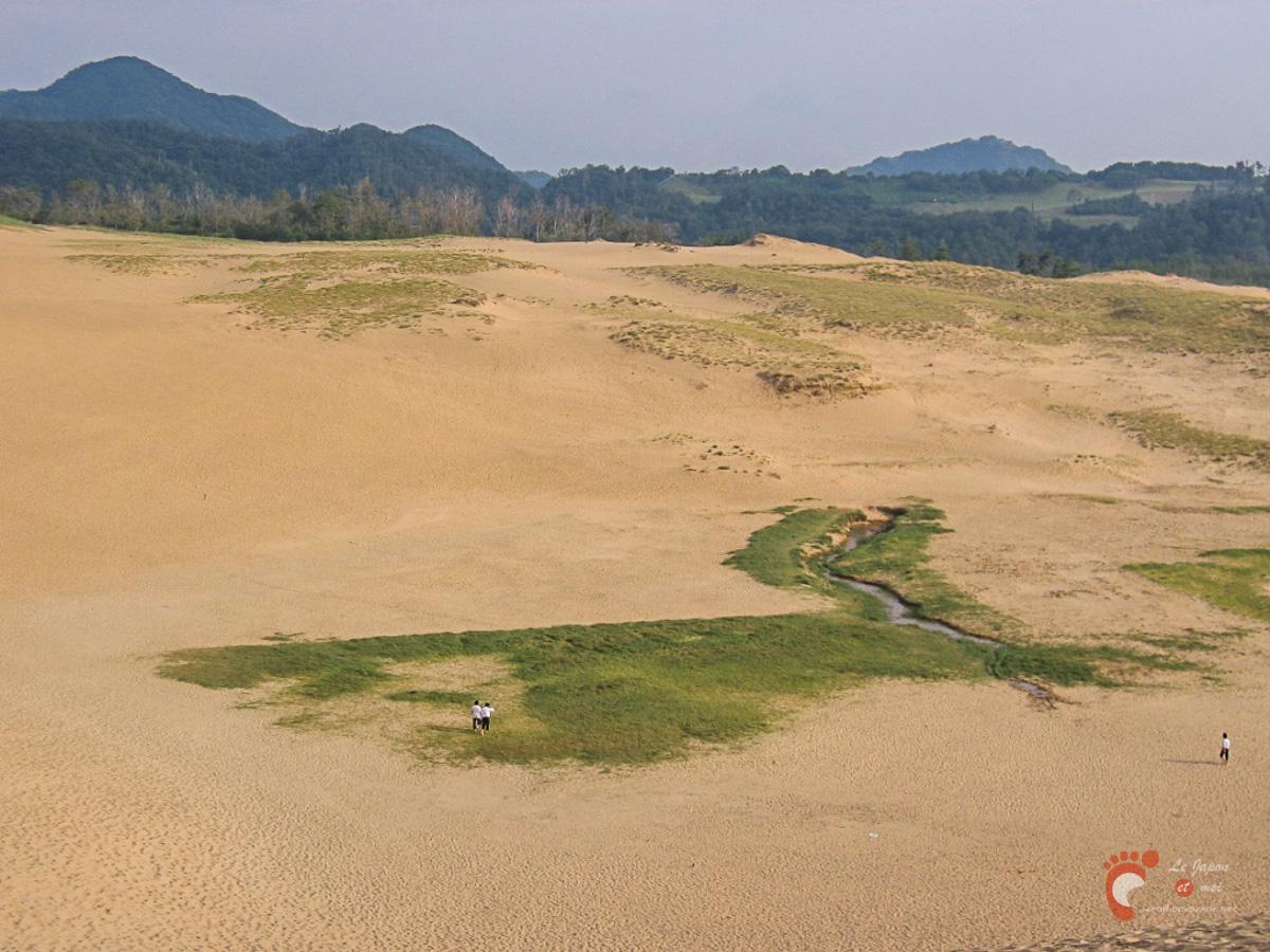 Tottori : Dunes de sable