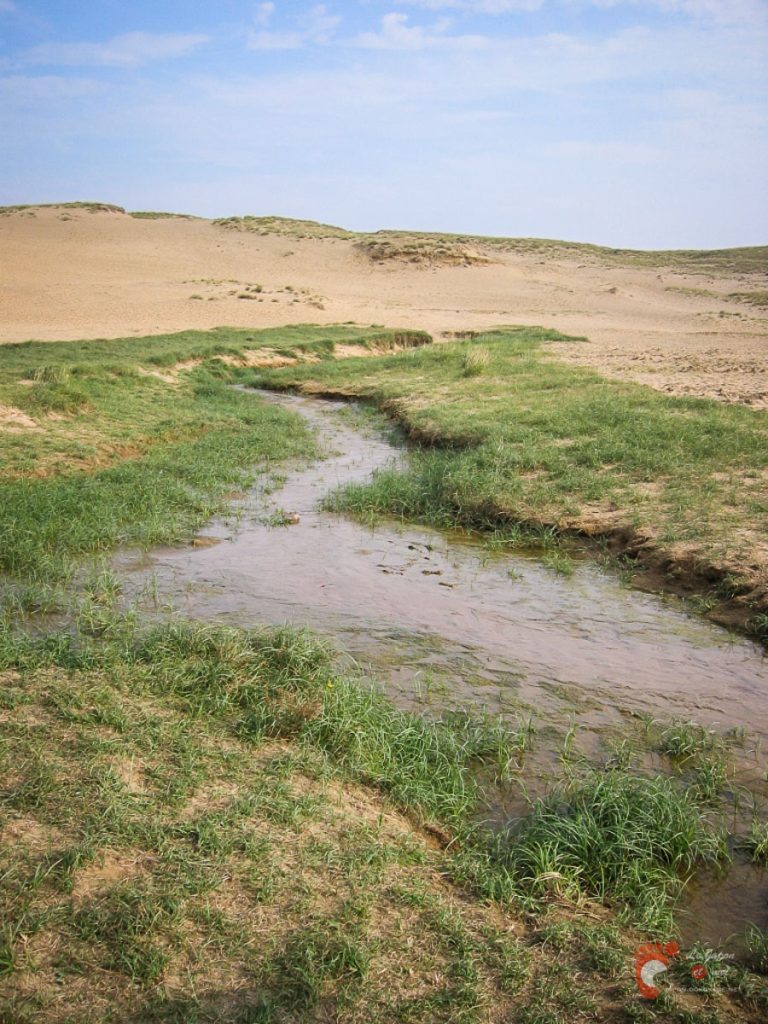Les dunes de sable de Tottori