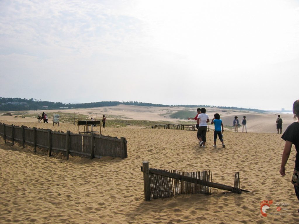 Les dunes de sable de Tottori