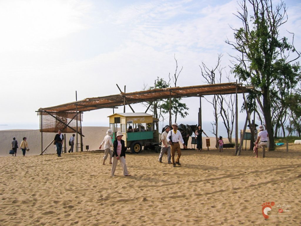 Les dunes de sable de Tottori