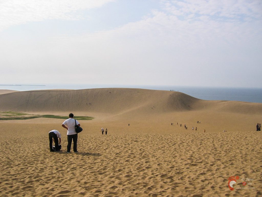 Les dunes de sable de Tottori