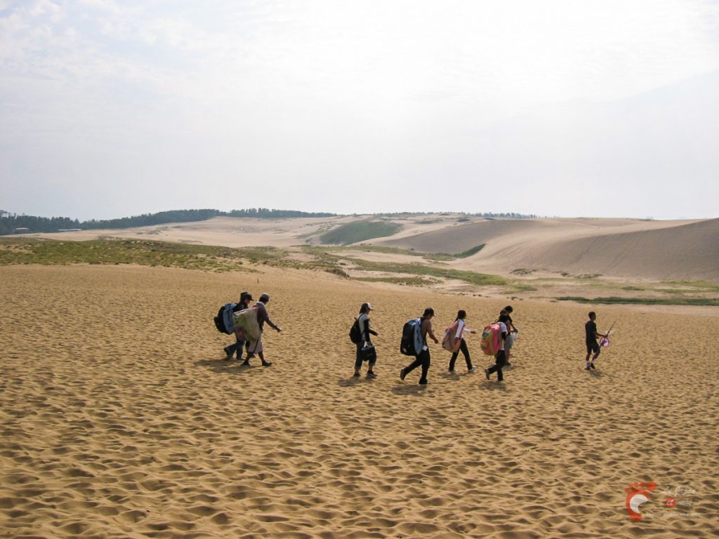 Les dunes de sable de Tottori