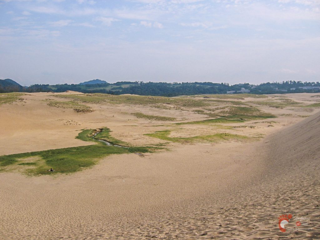 Les dunes de sable de Tottori