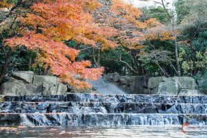 Une fontaine près de Ikebukuro en automne