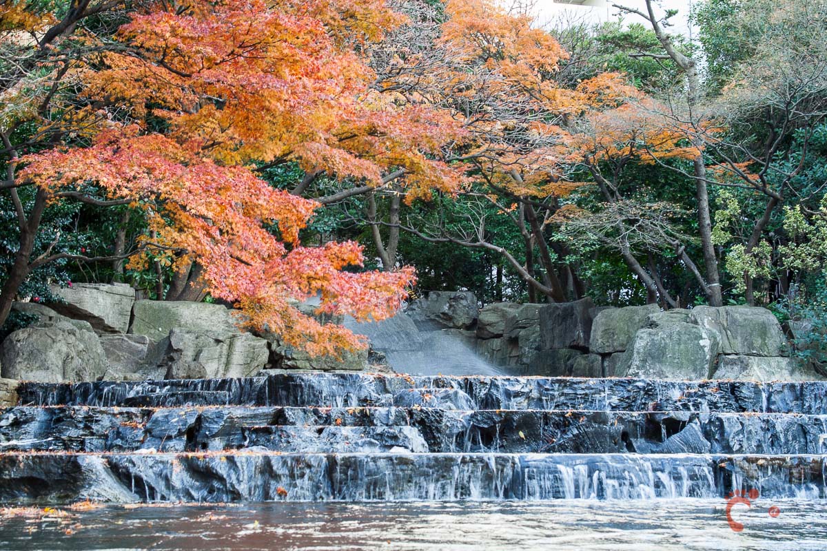 Automne à Ikebukuro