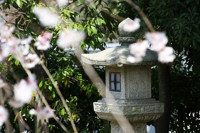 Himeji : Kôko-en 姫路好古園