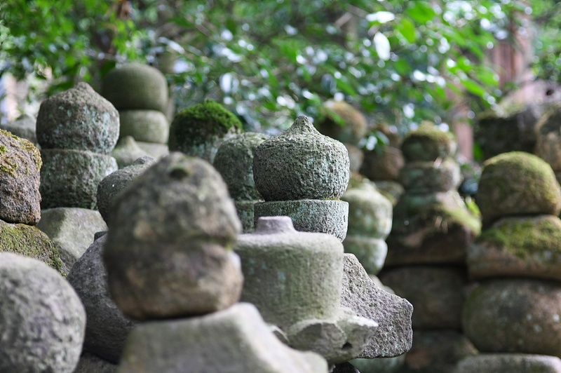 Kamakura : Hokoku-ji 報國寺