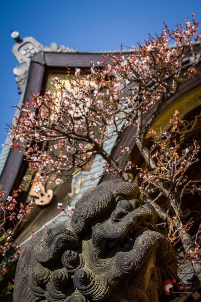 Sanctuaire Yushima Tenjin près d'Ueno