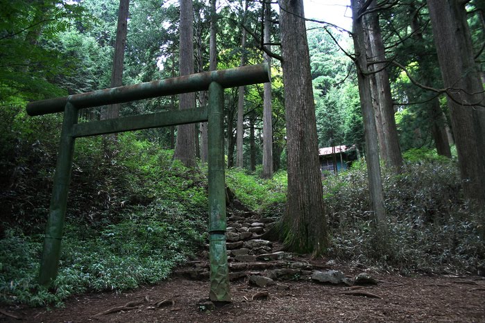 Mitake-san 御岳でハイキング