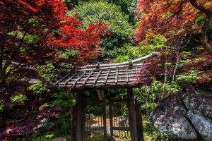 Jardin secret japonais
