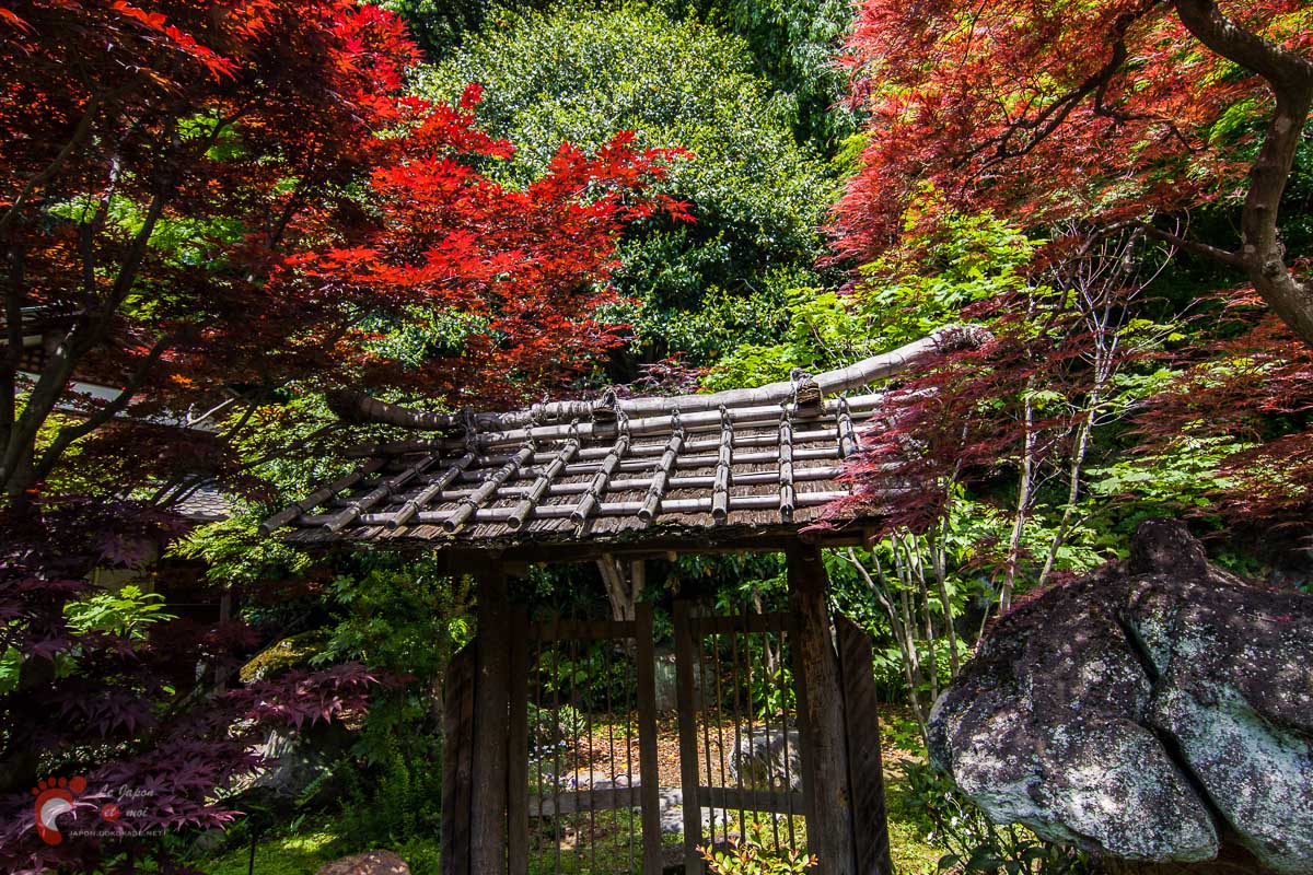 Jardin secret お散歩