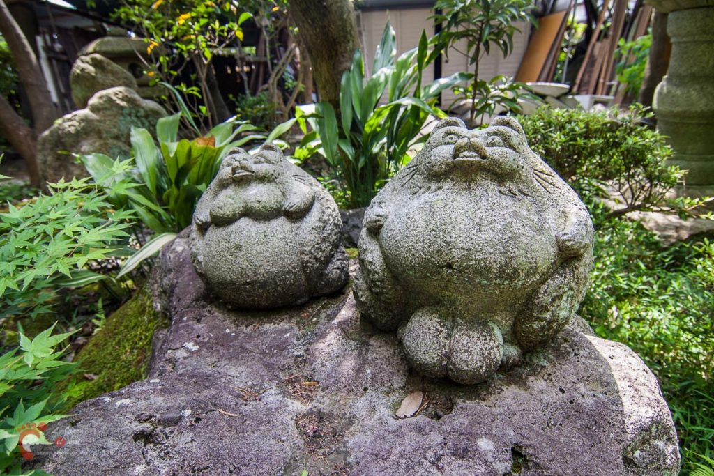 Jardin japonais secret