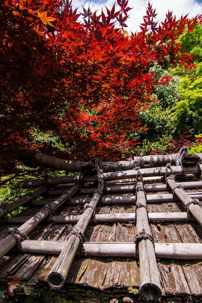 Jardin japonais secret