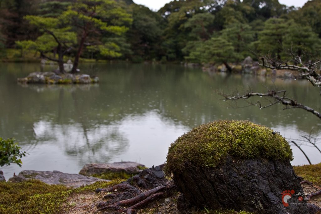 Le temple Kinkaku-ji à Kyôto