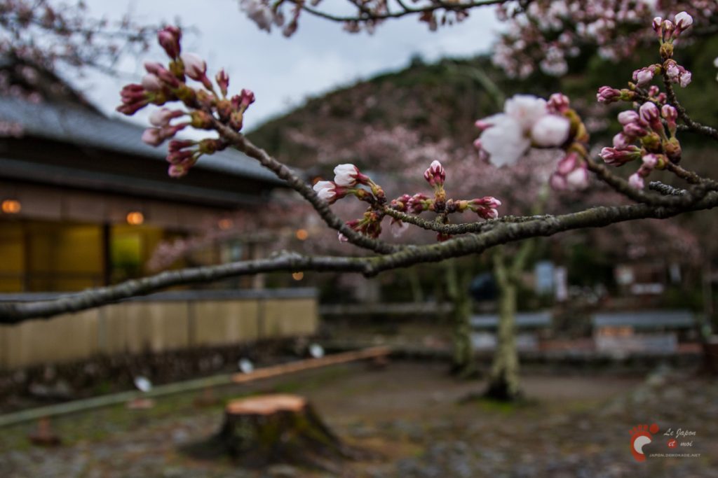 Arashiyama à Kyôto
