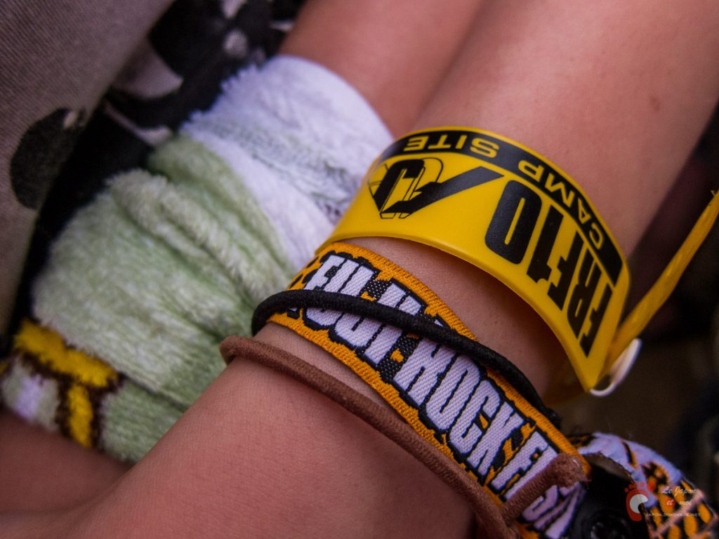 Fuji Rock 2010 - Canon S90