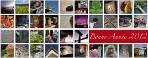 Bonne Année 2012 du Japon