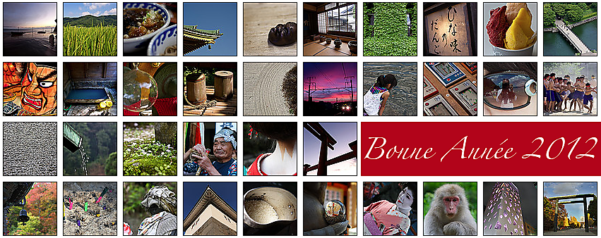 Bonne Année 2012 !