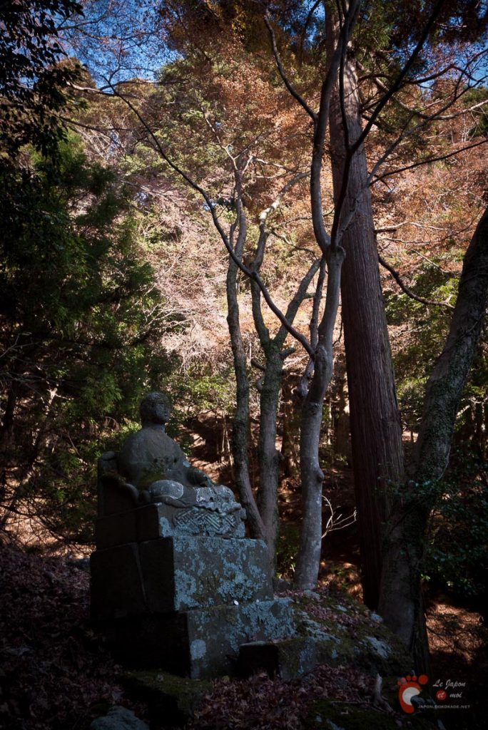 Randonnée au mont Ô-yama