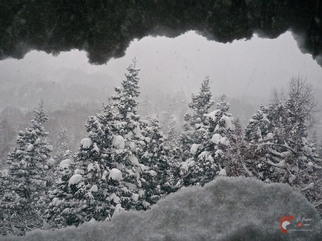 Nozawa Onsen