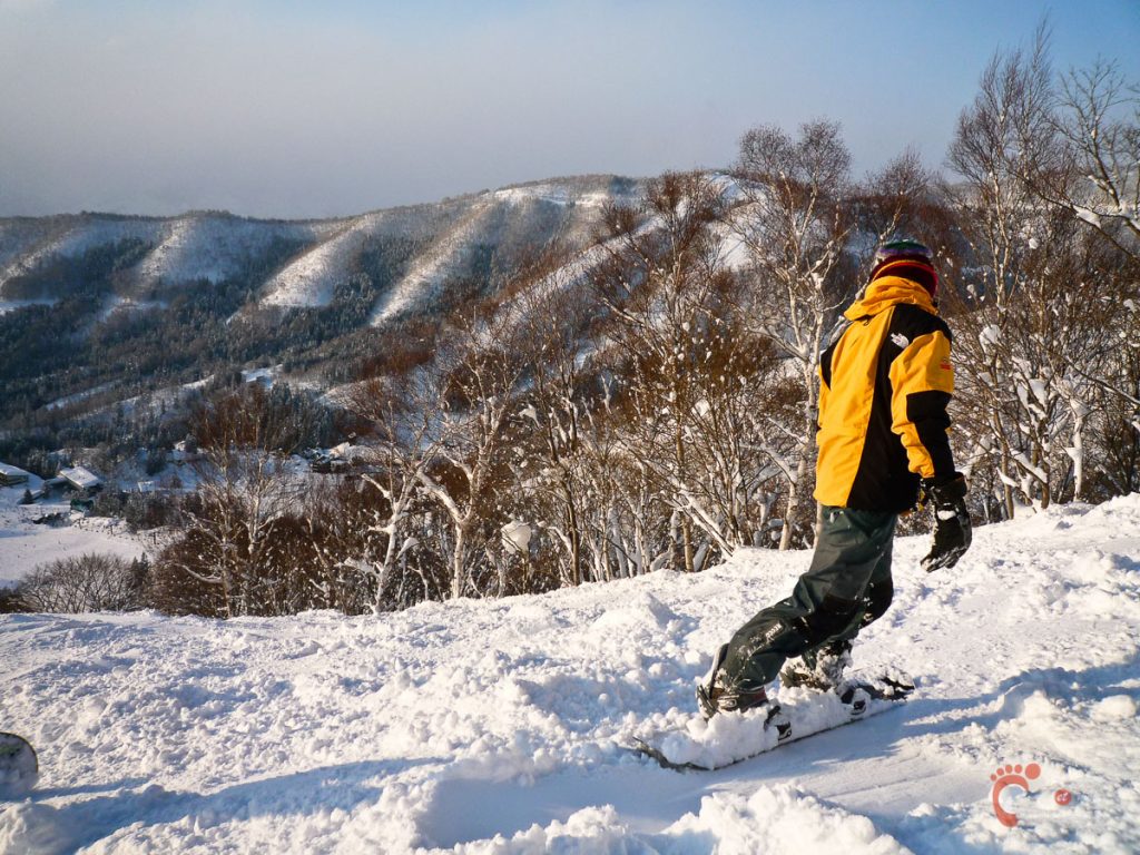 Ski à Nozawa Onsen : un de nos compagnons de glisse