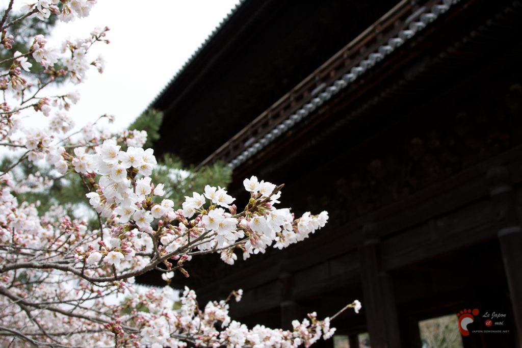Nanzenji sous les cerisiers - Sanmon