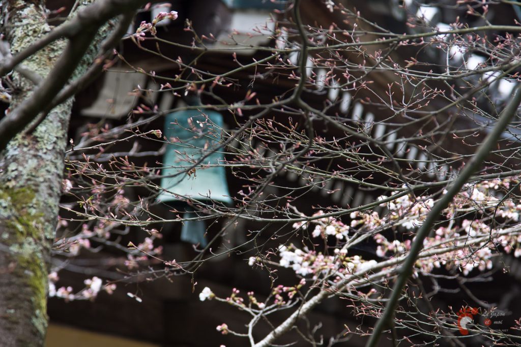 Nanzenji sous les cerisiers - Hattô