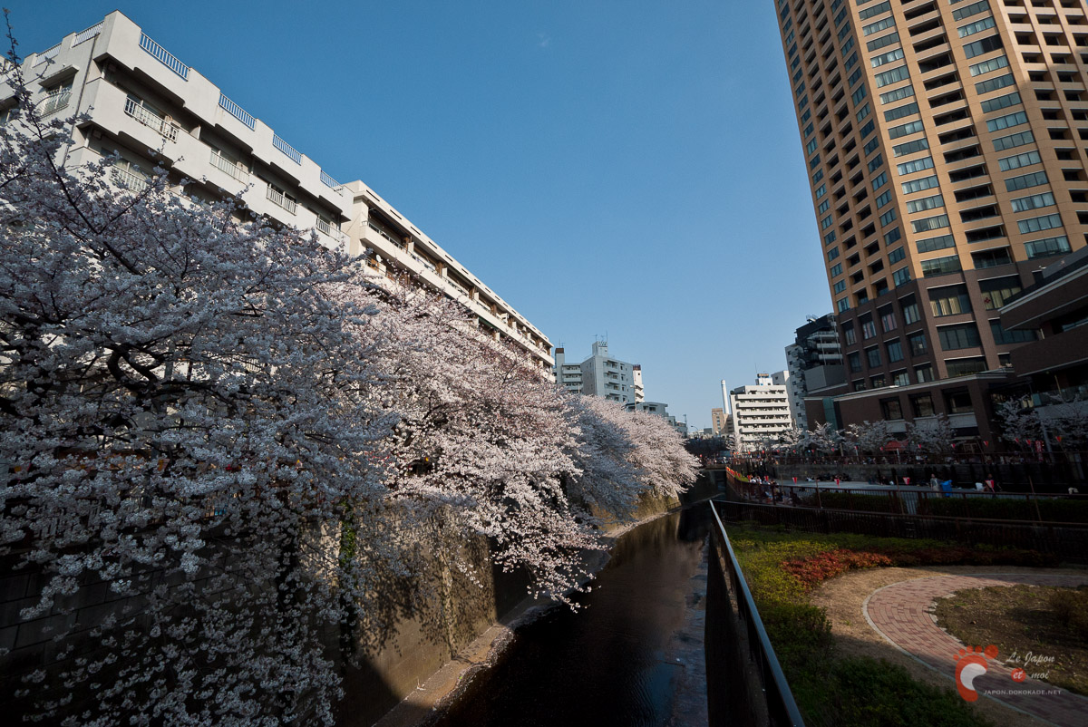 Hanami 2012 – Naka-Meguro 再び中目黒へ