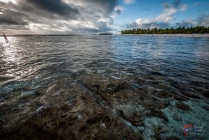 Récif – Atoll de Tikehau