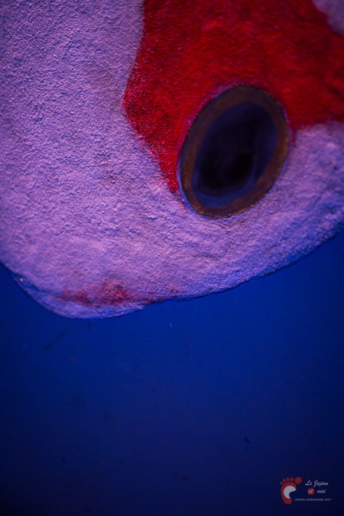 Art Aquarium 2012 | アートアクアリウム @ Coredo - Tôkyô