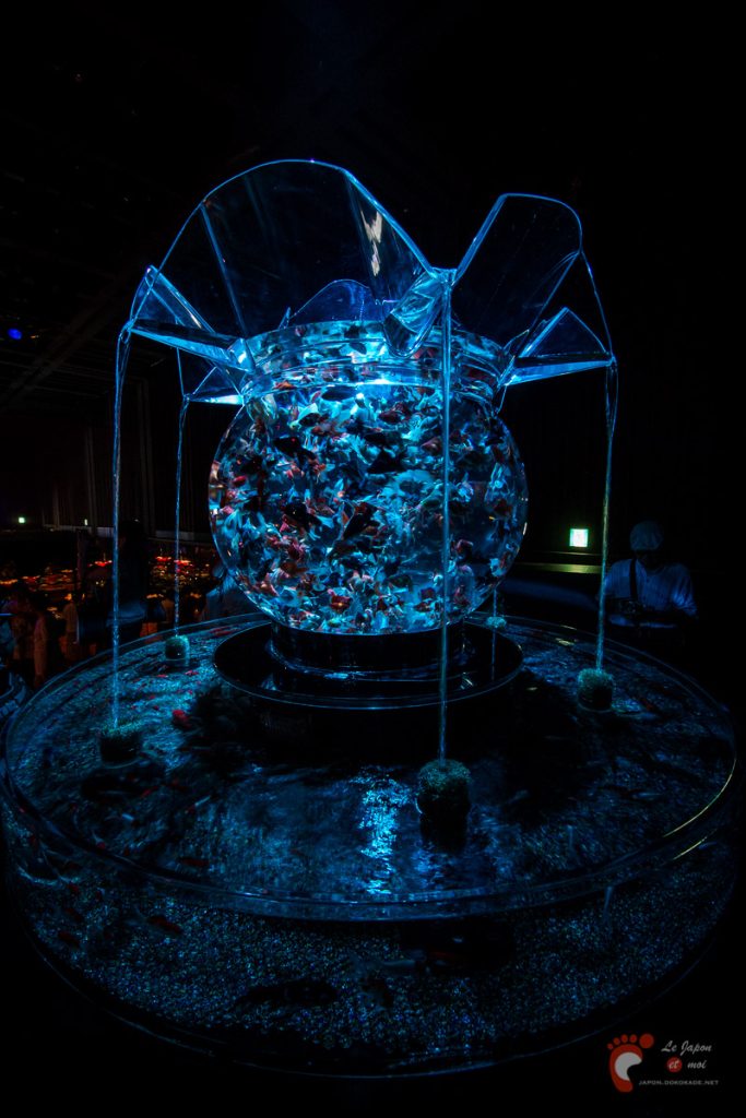 Art Aquarium 2012 | アートアクアリウム @ Coredo - Tôkyô