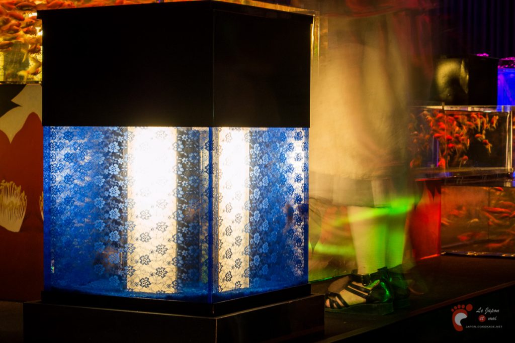 Art Aquarium 2012 | アートアクアリウム @ Coredo - Tôkyô