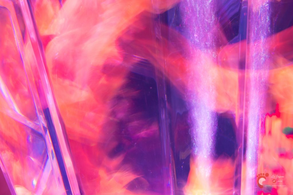 Art Aquarium 2012 | アートアクアリウム @ Coredo - Tôkyô