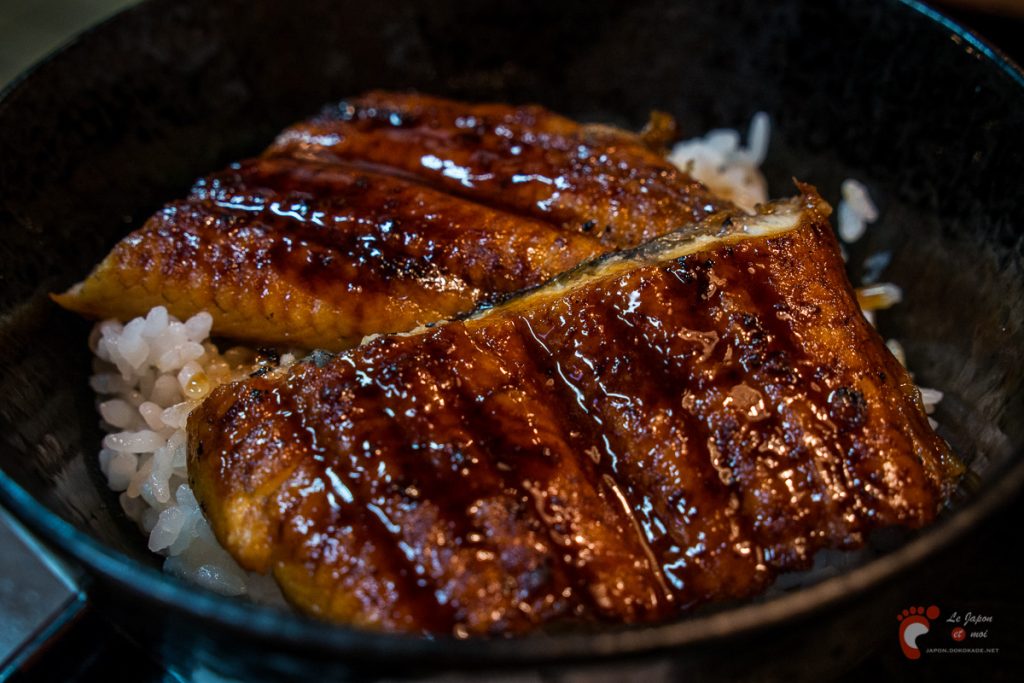 Hikone - Unagi