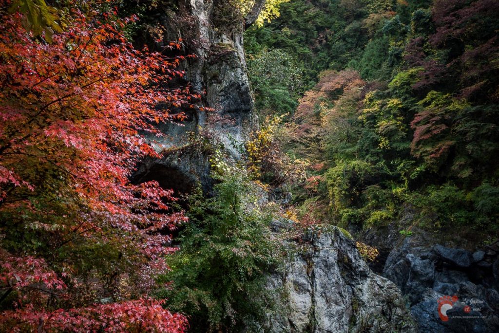Vallée de Hato-no-Su
