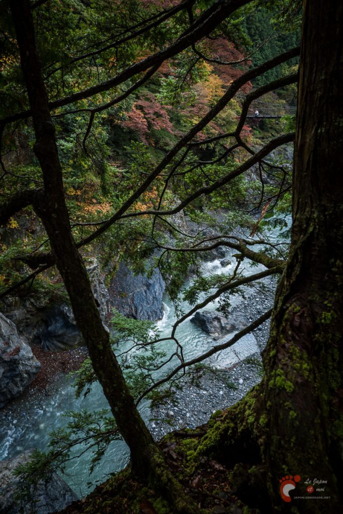 Vallée de Hato-no-Su
