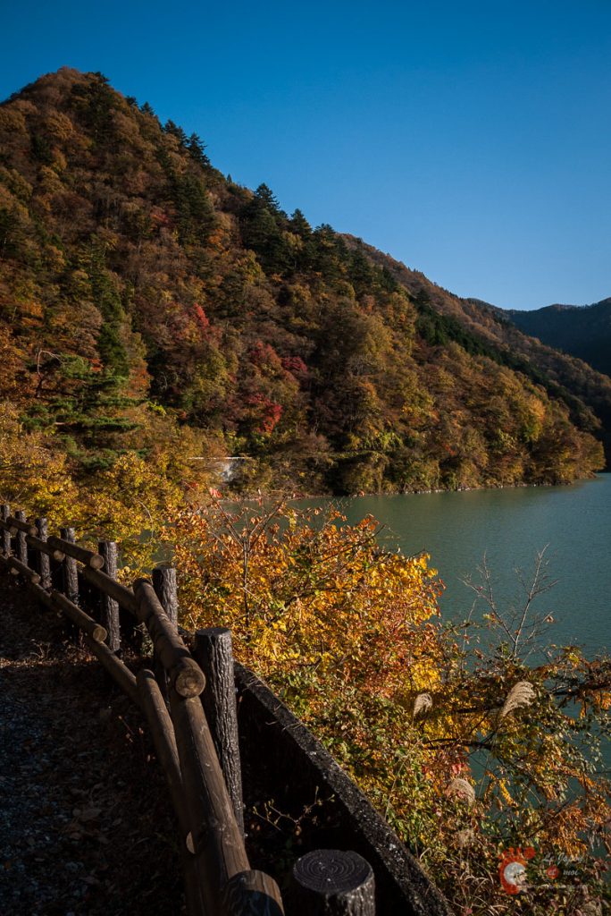 Couleurs automnales dans les environs du lac de Okutama