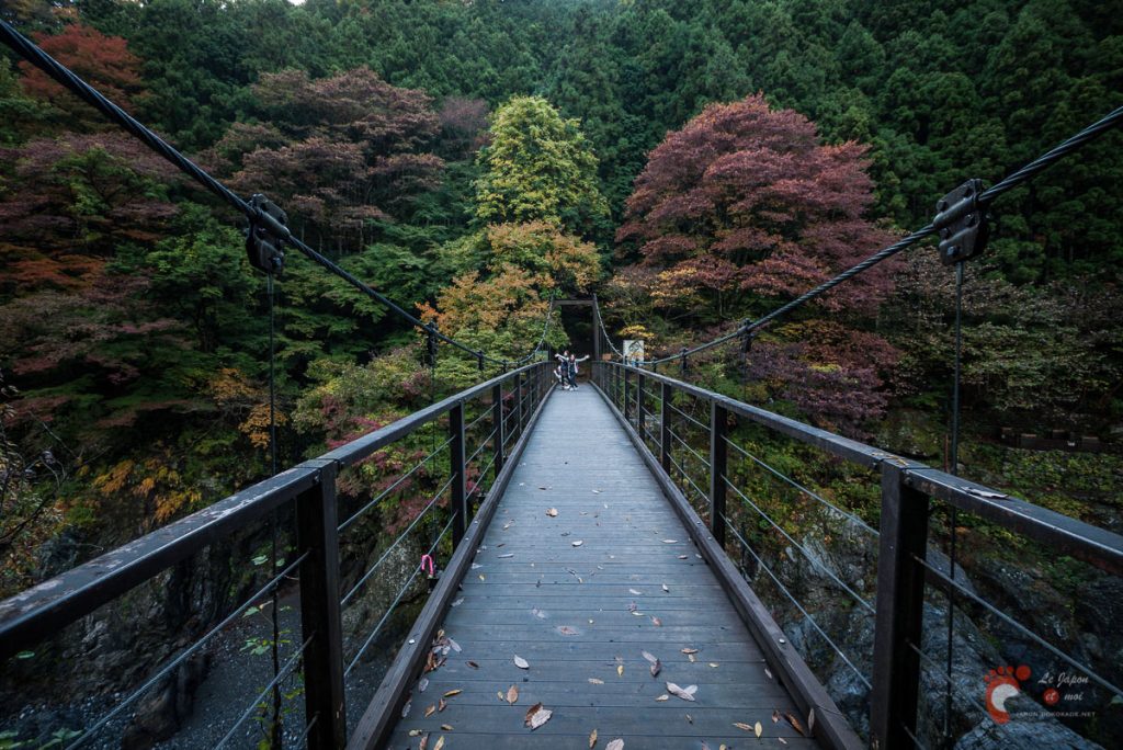 Le pont Kobashi de Hato-no-Su