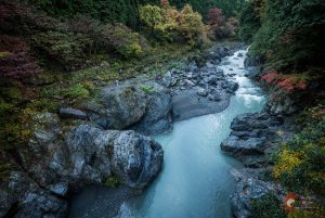 Vallée de Hato-no-Su et la rivière Tama