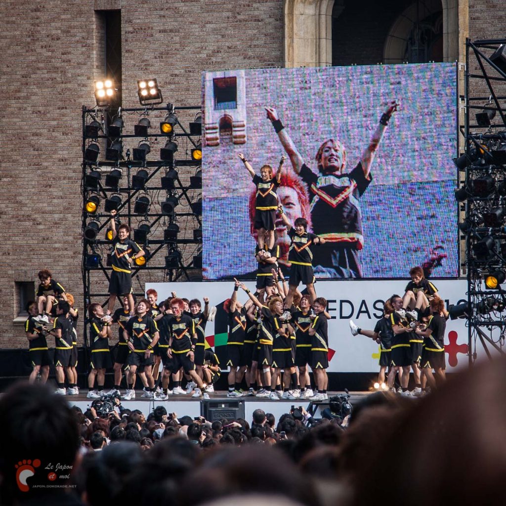 Wasedasai 2010