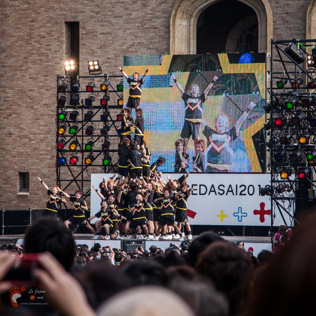 Wasedasai 2010