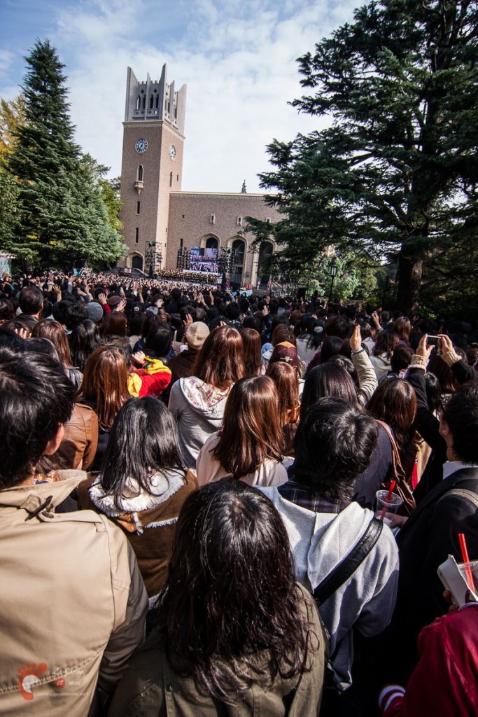 Wasedasai 2010