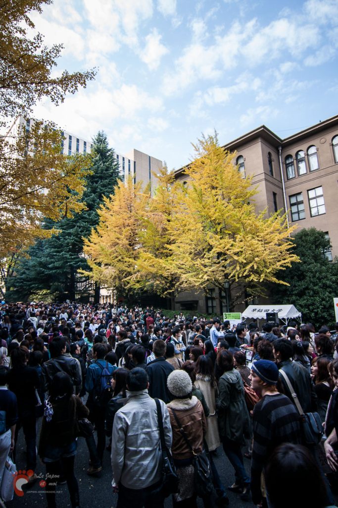 Wasedasai 2010