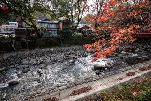 Shuzenji Onsen : l'automne commence à bercer de ses couleurs le lit de la rivière