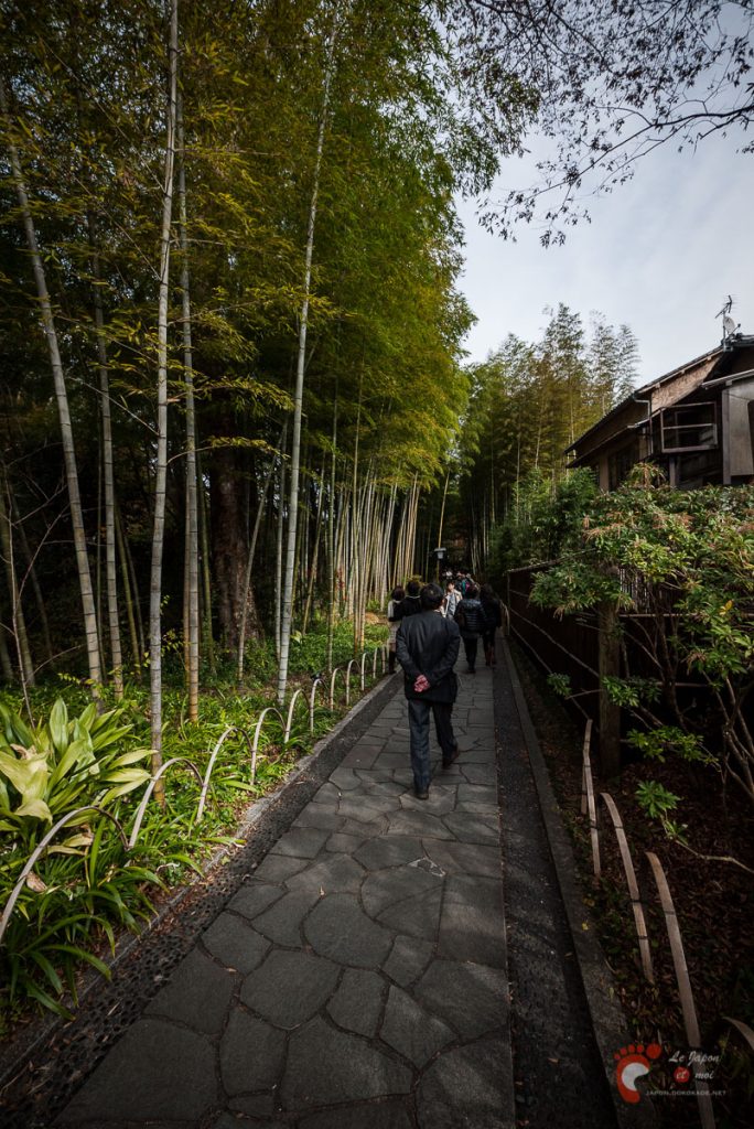 Shuzenji Onsen - Le chemin aux bambous