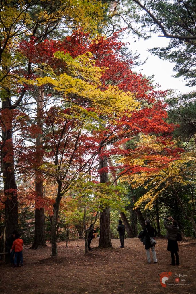 Shuzenji Onsen