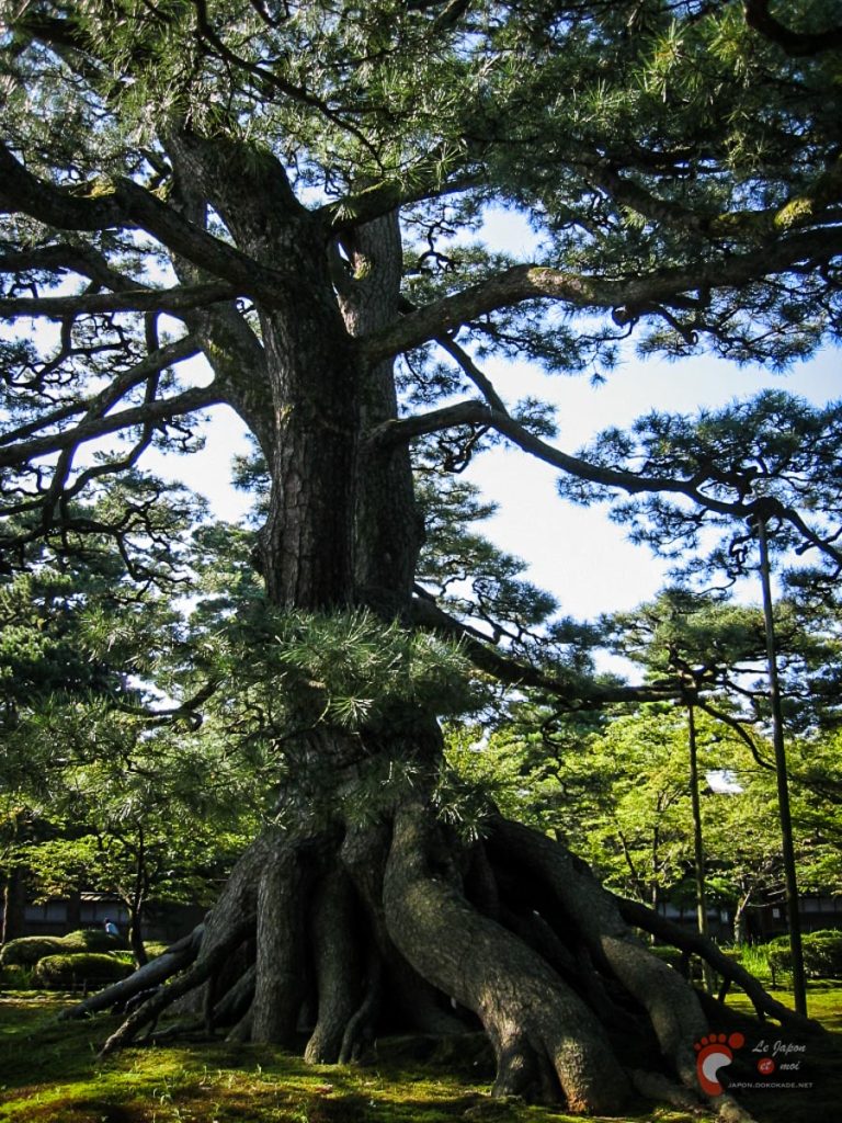 Le parc Kenrokuen à Kanazawa