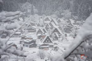 Dans les hauteurs de Shirakawa-go